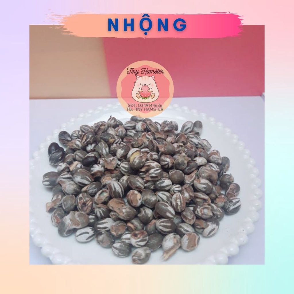 Nhộng dành cho Hamster