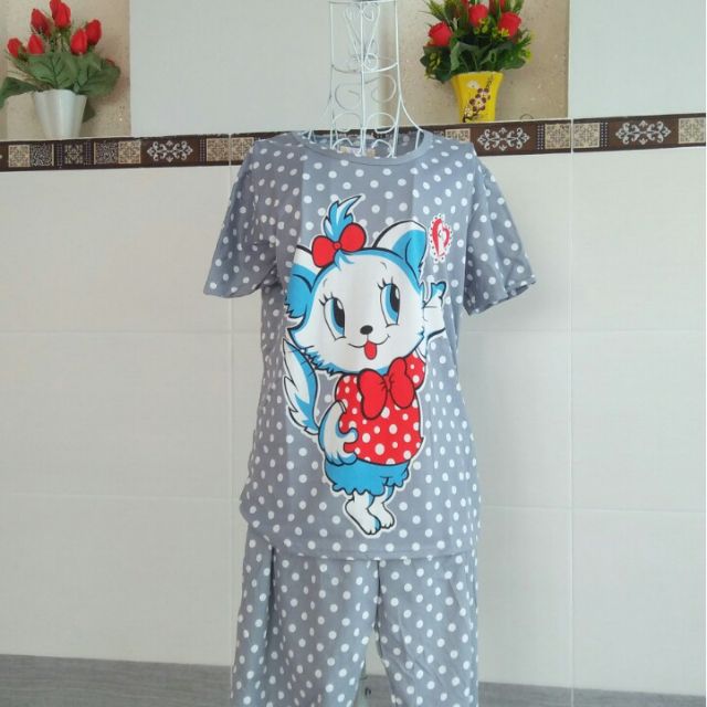 Set kim sa mèo cao cấp