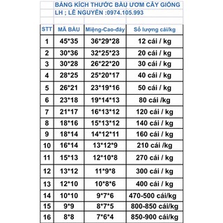 1kg bầu ươm nhiều kích cỡ
