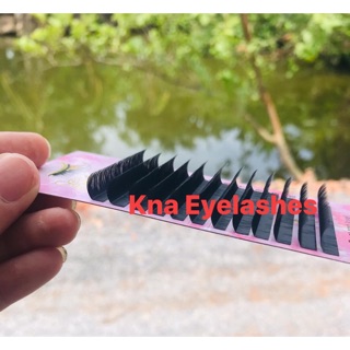 Mi khay đen cong LD chất silk/mink chuẩn Hàn