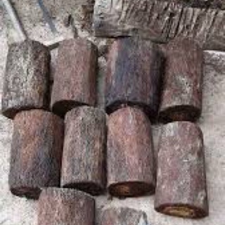 Dớn trụ trồng Lan dài 40cm ngang 10cm