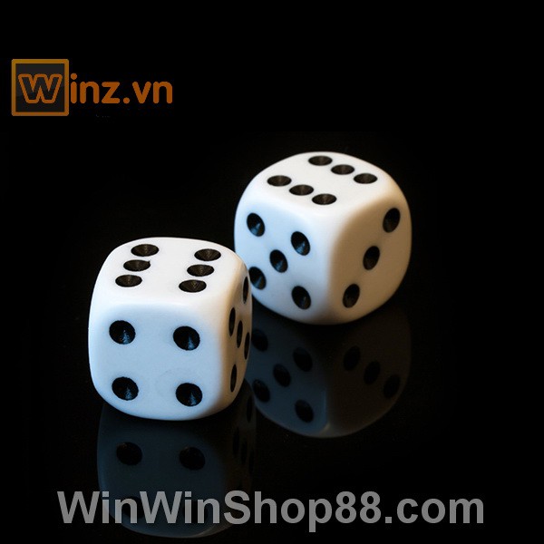 Combo 2 Bộ 6 Xúc Xắc Xí Ngầu Chất Lượng Cao - Winz.vn