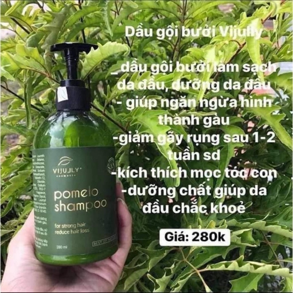 Dầu Gội Bưởi Ngăn Rụng Tóc VIJULLY Pomelo Shampoo -  [HÀNG CHÍNH HÃNG]