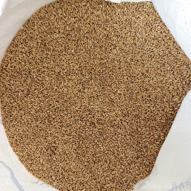 HẠT LÚA MÌ - 1kg