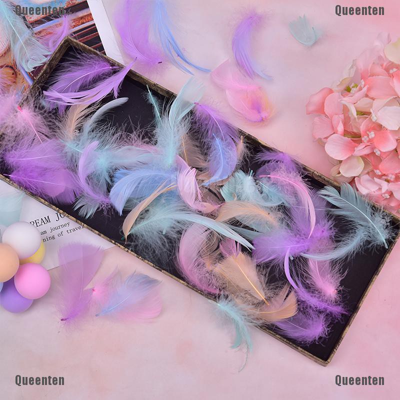 Bộ 100 Lông Vũ Nhiều Màu Sắc Dùng Làm Quà Tặng
