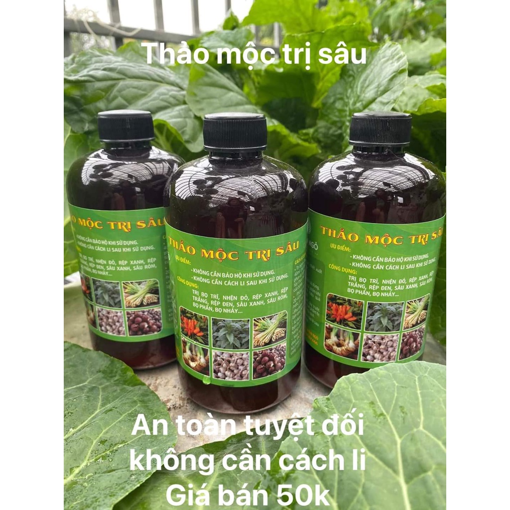 thảo mộc trị sâu Uyên Ngô