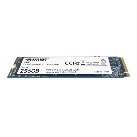 Ổ cứng SSD M2 cho PC, Laptop Patriot P300 - Chính hãng Bảo Hành 36 Tháng