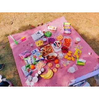 Thảm picnic 1m5x1m5