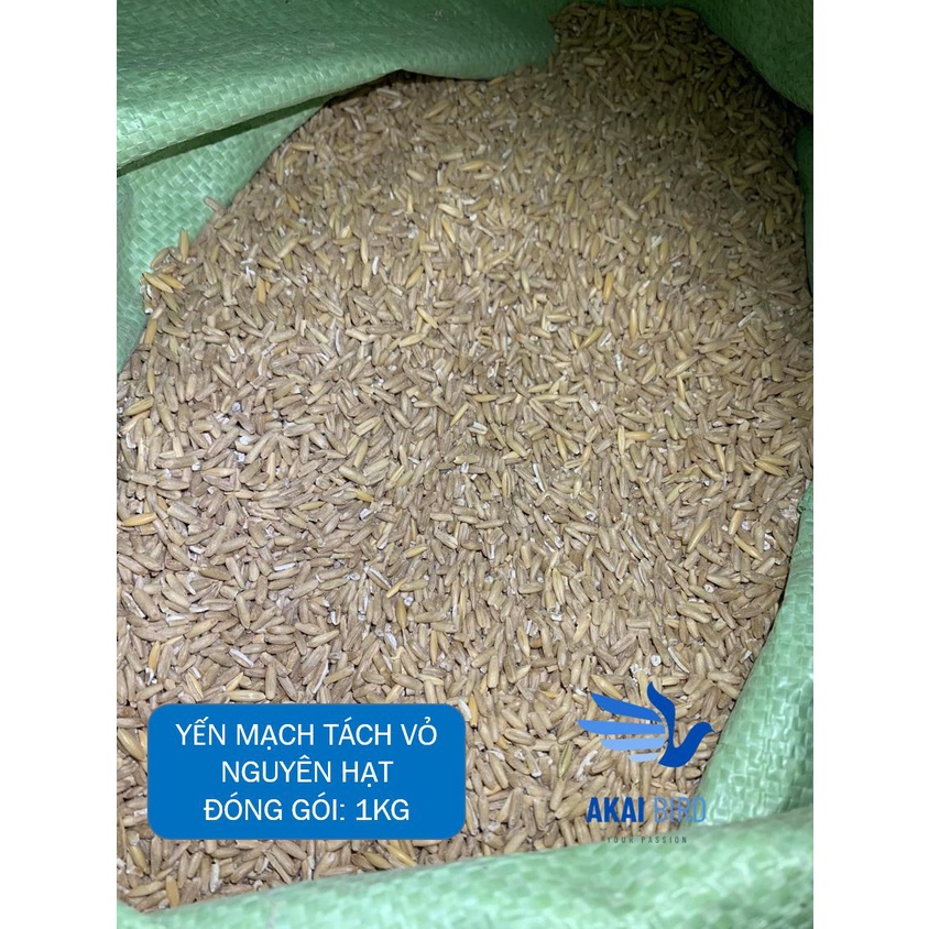 [1KG] Yến Mạch Nguyên Vỏ / Tách Vỏ Dành Cho Vẹt, Chim Cảnh, Hamster, Sóc...