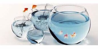 Hồ cá thủy sinh🐠 Bể cá để bàn hình QUẢ CẦU