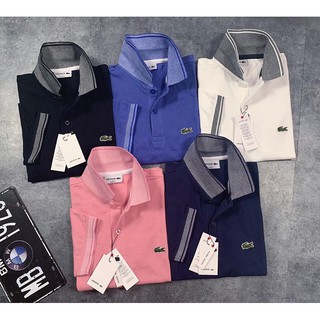 Áo thun polo cá sấu new 4 màu - full size