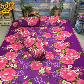 Drap thun hàn quốc