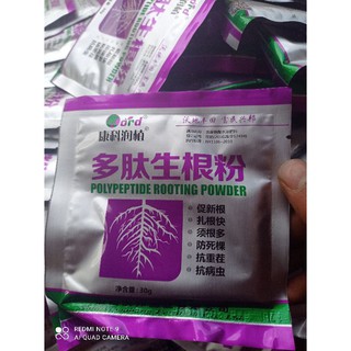 thuốc kích ra rễ cực mạnh. combo 10 gói 150k free ship