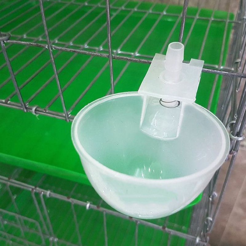 Máng uống nước tự động cho chim bồ câu, gà chất liệu nhựa an toàn HAMISSY