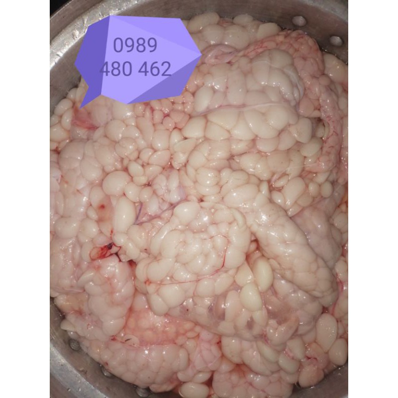 0.5 ký mỡ trăn tươi nguyên chất | BigBuy360 - bigbuy360.vn