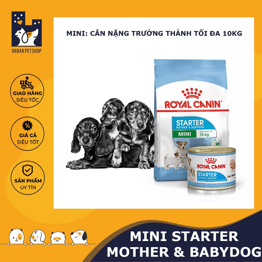 ROYAL CANIN - MINI STARTER MOTHER &amp; BABYDOG [ CHÍNH HÃNG ] - CHO CHÓ MẸ VÀ CHÓ CON GIỐNG NHỎ