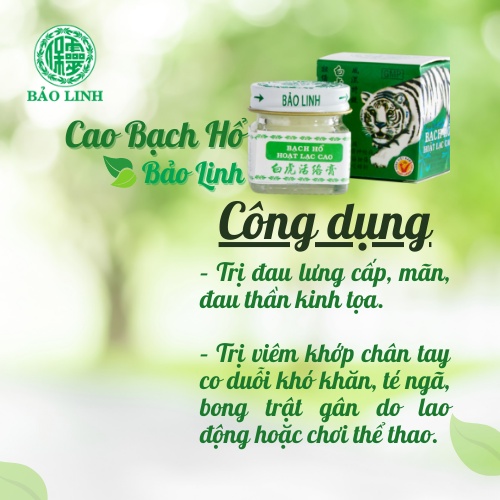 Cao Xoa Bóp Bạch Hổ Hoạt Lạc Cao BẢO LINH 20gram