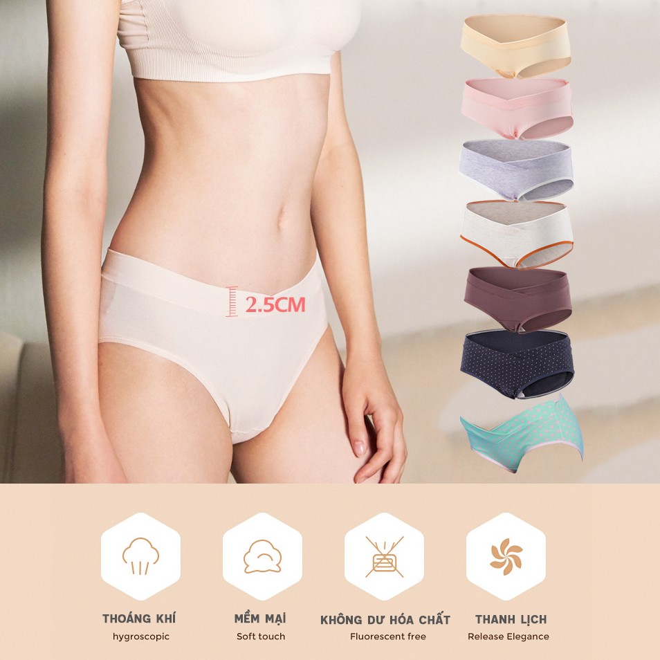 Quần lót bầu cotton cạp chéo