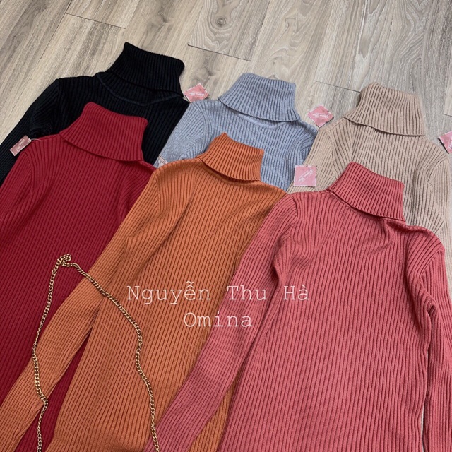 Đầm  len tăm  body cổ lọ  #8061