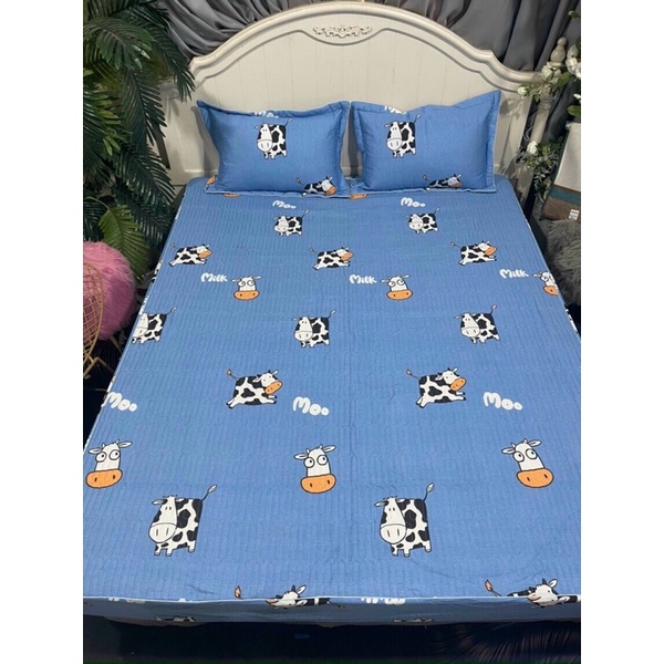 Ga gối cotton