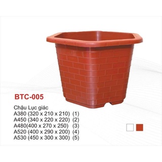 Combo 50 chậu fa350