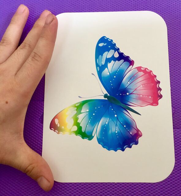 Bộ thẻ học thông minh 18 chủ đề loại to song ngữ tiếng Anh loại chuẩn Glenn Doman Flashcard cho bé từ 0-6 tuổi (hibaby+)
