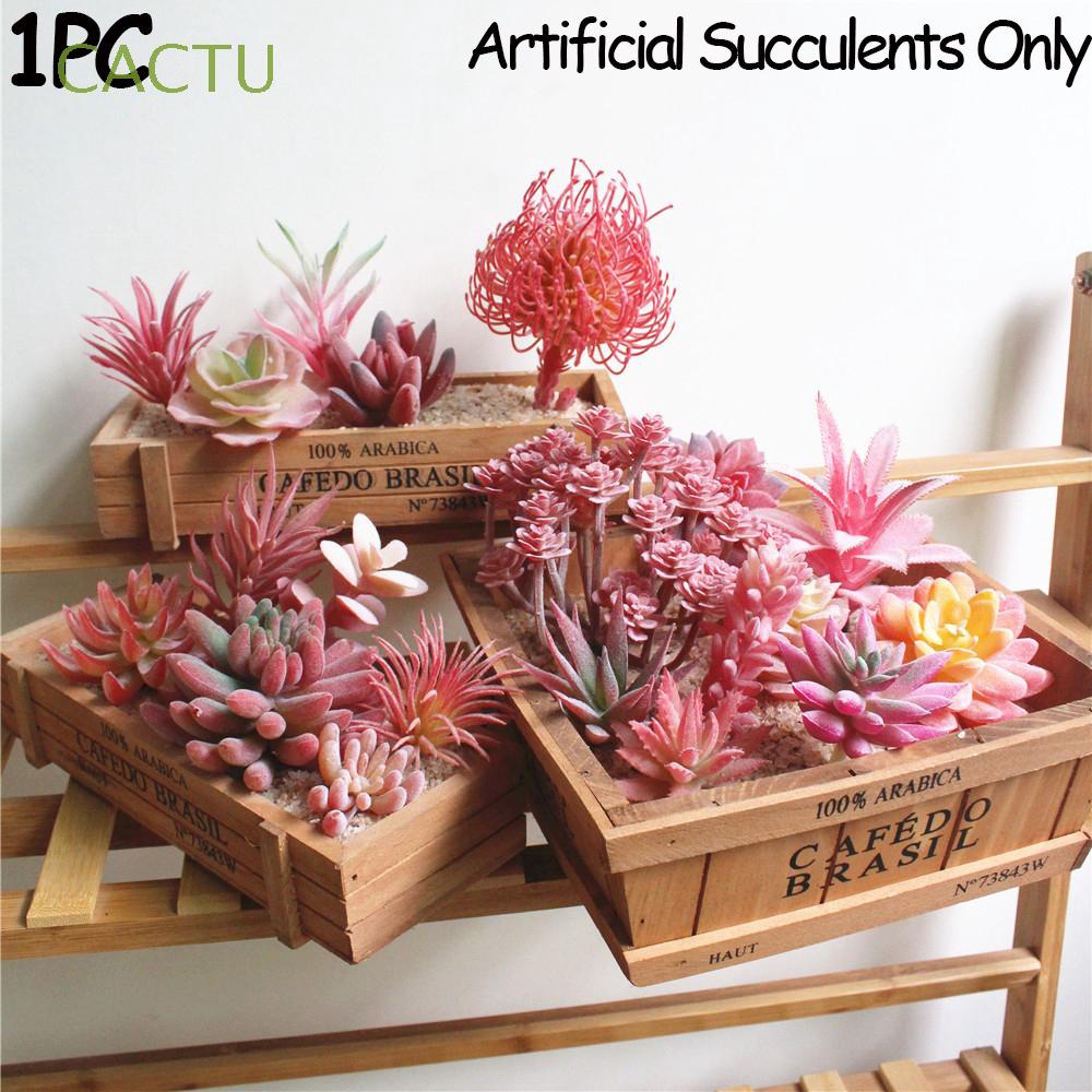 CACTU Chậu cây bonsai mini / xương rồng / sen đá đỏ trang trí