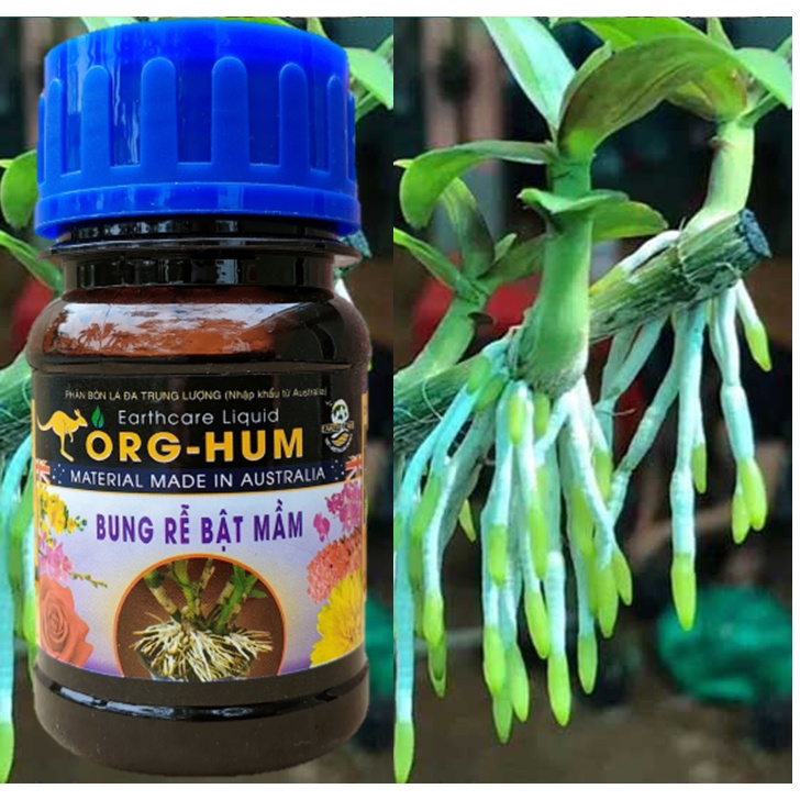 Phân bón lá sinh học ORG-HUM bổ sung Humic Acid và Fulvic Acid tốt rễ đẻ nhánh chai 100ml