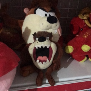 Hà vy y 300