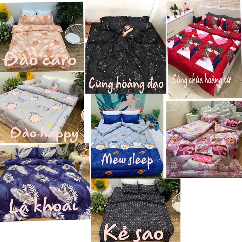 Bộ Chăn Ga 5 Món Cotton Poly - Chăn Phao Trần Dầy Dặn | BigBuy360 - bigbuy360.vn