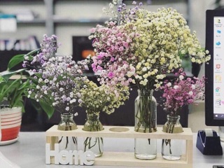 Set 5 lọ hoa