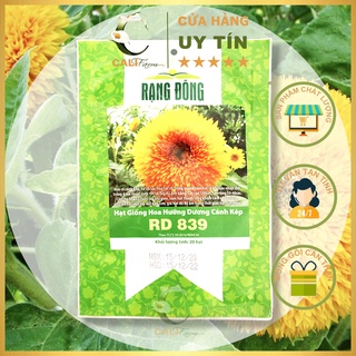 Hạt Giống Hoa Hướng Dương Cánh Kép RD 839 (20 Hạt)