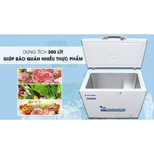 Tủ đông Alaska BD-300 Thiết kế nắp tủ có lò xo trợ lực thân thiện với người sử dụng. Sử dụng gas R600a tiết kiệm 40%