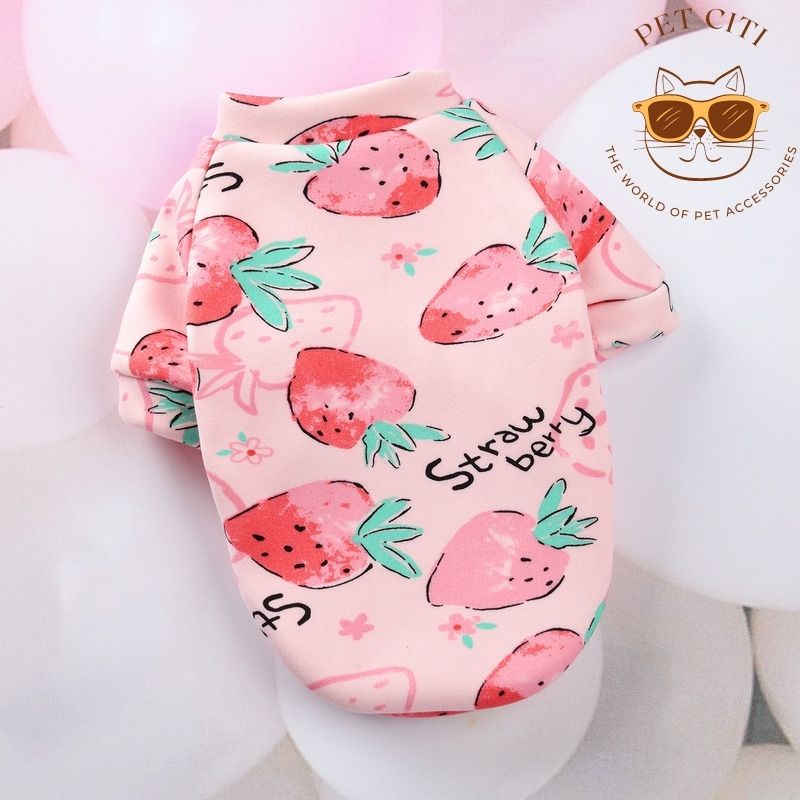 Đồ cho chó size lớn mặc mùa đông phong cách dễ thương AC104