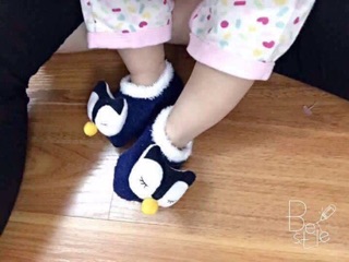 Combo 6 đôi Tất hài lông cừu cho bé