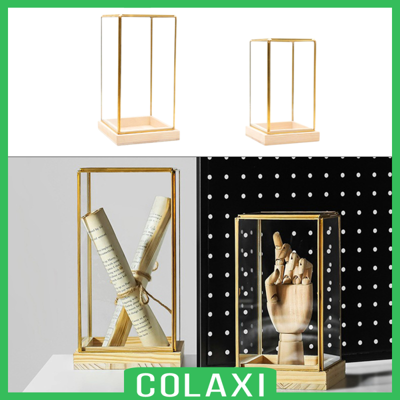 [COLAXI]Glass Display Case Decorative Cuboid Antique Artwork Showcase Terrarium