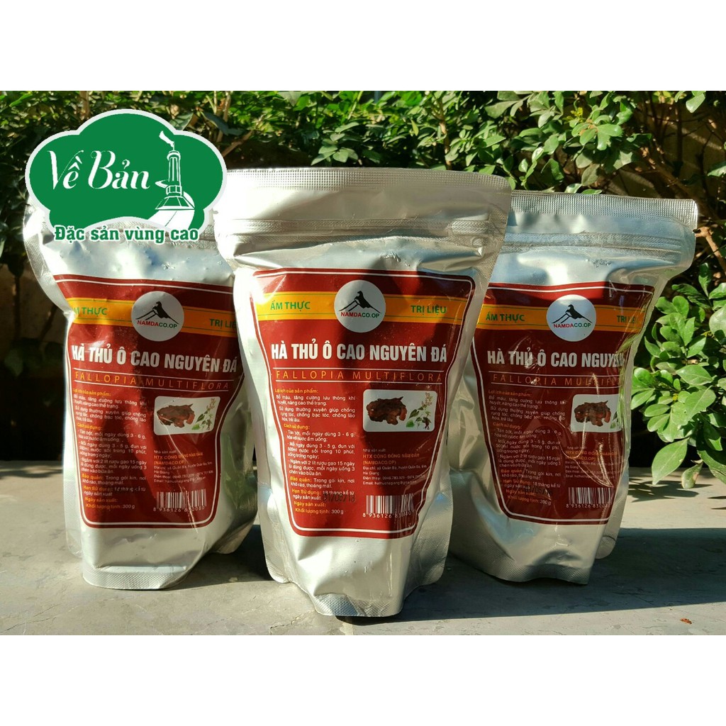 HÀ THỦ Ô CAO NGUYÊN ĐÁ ĐỒNG VĂN - HÀ GIANG