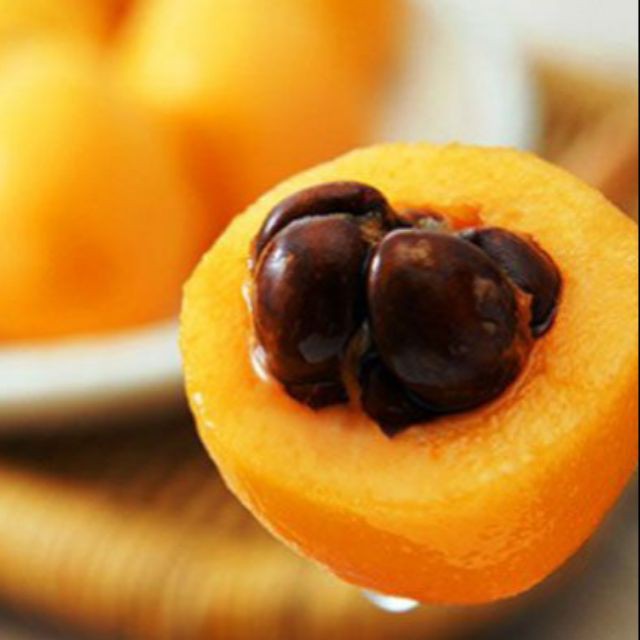 cây Cây BIWA.. năm tháng cây cho trái - Cây Giống Nhập Khẩu