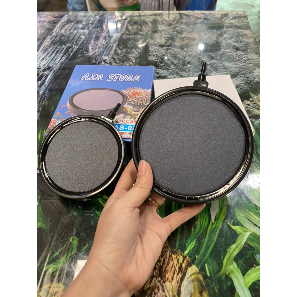 Đĩa sủi mịn - cục sủi oxy nano hồ cá cảnh