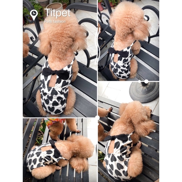 Bikini phối nơ ngực hoạ tiết trái tim/Bikini cao cấp cho chó mèo