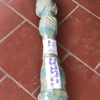 10 cây lá dong làm giống