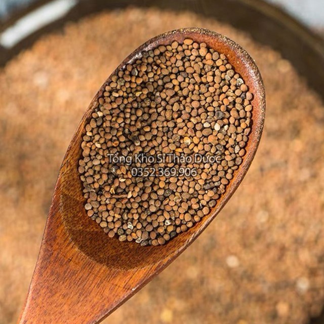 Thỏ Ty Tử 1kg (Vàng, Đẹp)