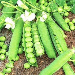 Hạt giống đậu hà lan giá rẻ