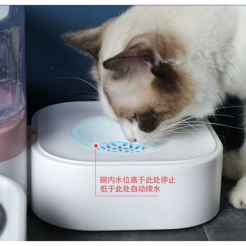 BỘ BÁT ĂN BÌNH NƯỚC TỰ ĐỘNG CHO CHÓ MÈO😻 CÓ LỌC NƯỚC 😻CHÉN ĂN TỰ ĐỘNG CHO CHÓ MÈO