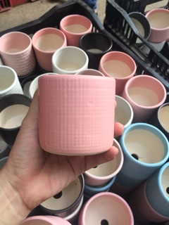 Chậu trồng cây 8cm