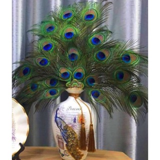 combo 21c lông công 80-90cm loại 1 mắt lớn 4-6cm