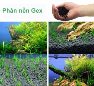 Phân nền Gex xanh cho hồ thủy sinh - 8kg