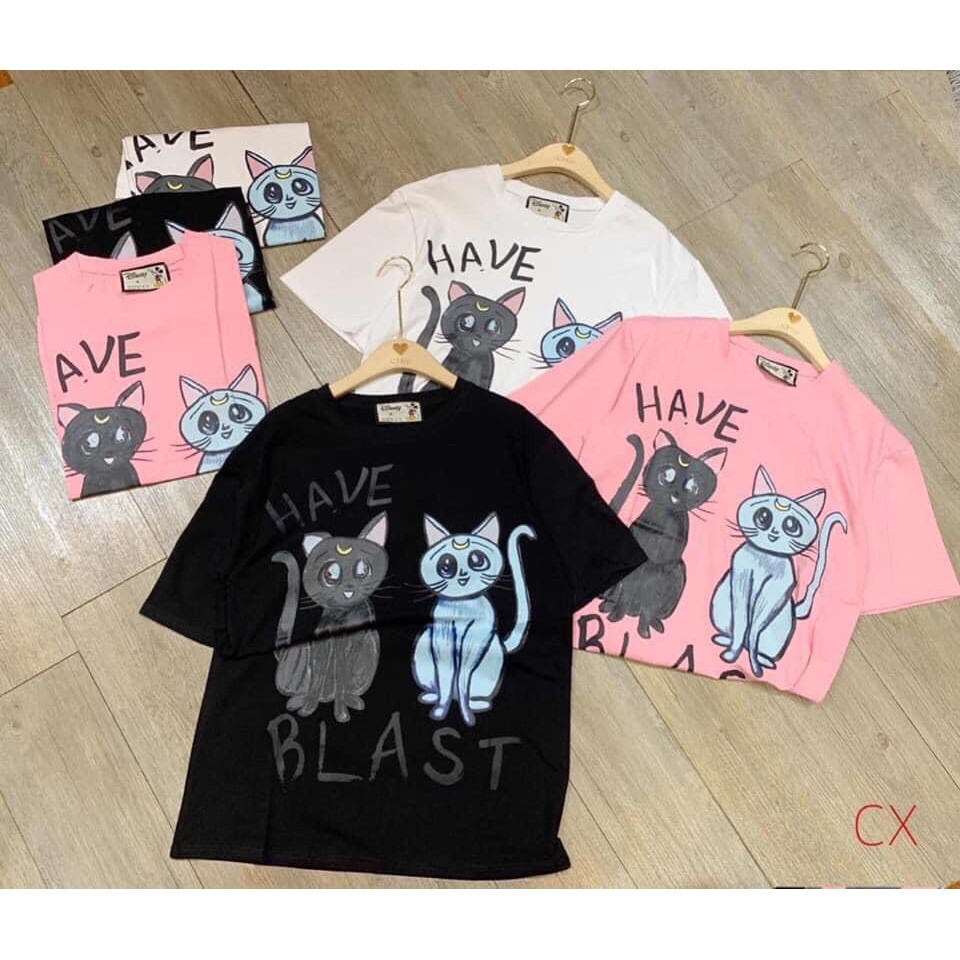 Áo Phông Nữ Hình Mèo 3D 🦋 Áo Thun Cộc Tay Cotton Túi Zip 3 Màu 🦋