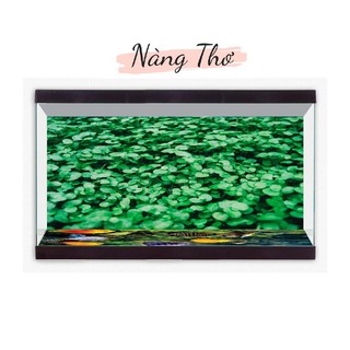 TRANH DÁN MẶT ĐÁY BỂ CÁ_TRANH NỀN LÁ 3D