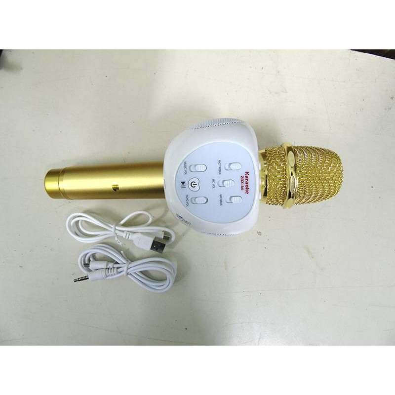 Mic Karaoke ZBX-66